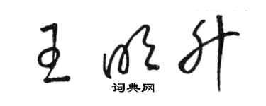 駱恆光王明升草書個性簽名怎么寫