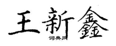 丁謙王新鑫楷書個性簽名怎么寫