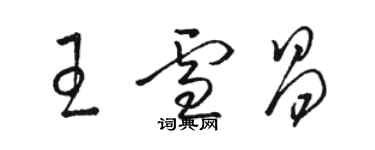 駱恆光王雪昌草書個性簽名怎么寫