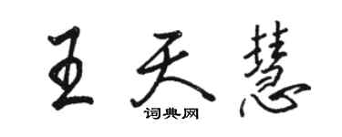 駱恆光王天慧行書個性簽名怎么寫