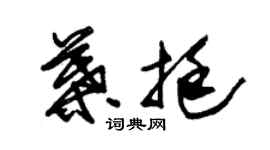 朱錫榮葉挺草書個性簽名怎么寫