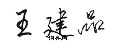 駱恆光王建品行書個性簽名怎么寫