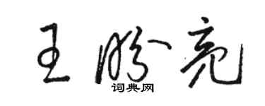 駱恆光王盼亮草書個性簽名怎么寫