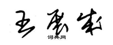 朱錫榮王展成草書個性簽名怎么寫