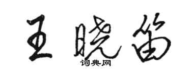 駱恆光王曉笛行書個性簽名怎么寫