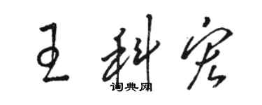 駱恆光王科宏草書個性簽名怎么寫