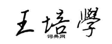 王正良王培學行書個性簽名怎么寫