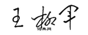 駱恆光王柳軍草書個性簽名怎么寫