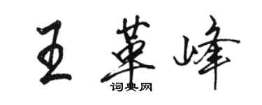 駱恆光王革峰行書個性簽名怎么寫