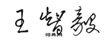 駱恆光王智毅草書個性簽名怎么寫