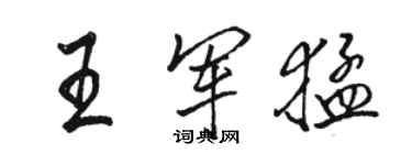 駱恆光王軍猛行書個性簽名怎么寫