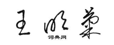 駱恆光王明菊草書個性簽名怎么寫