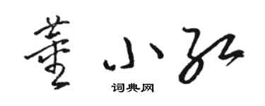 駱恆光董小紅草書個性簽名怎么寫