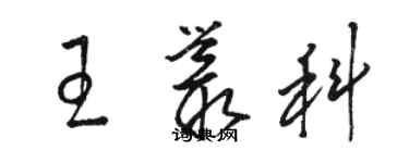 駱恆光王叢科草書個性簽名怎么寫