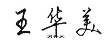 駱恆光王華美行書個性簽名怎么寫