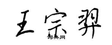 王正良王宗羿行書個性簽名怎么寫