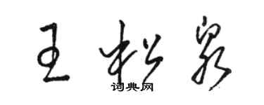 駱恆光王松泉草書個性簽名怎么寫