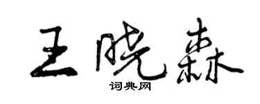 曾慶福王曉森行書個性簽名怎么寫