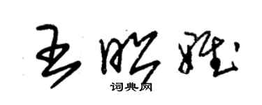 朱錫榮王昭雅草書個性簽名怎么寫