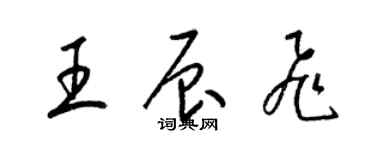 梁錦英王辰飛草書個性簽名怎么寫