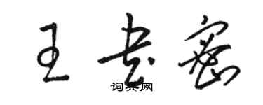 駱恆光王書密草書個性簽名怎么寫