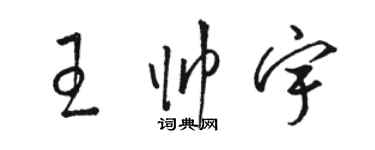 駱恆光王帥宇草書個性簽名怎么寫