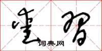 王冬齡愛習草書怎么寫