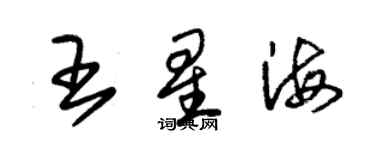 朱錫榮王星海草書個性簽名怎么寫