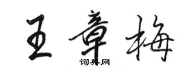 駱恆光王章梅行書個性簽名怎么寫