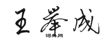 駱恆光王舉成行書個性簽名怎么寫