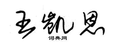 朱錫榮王凱恩草書個性簽名怎么寫