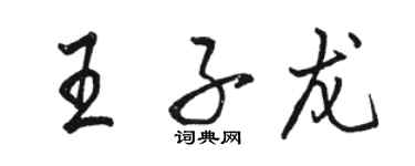 駱恆光王子龍行書個性簽名怎么寫