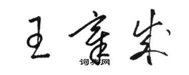 駱恆光王章成草書個性簽名怎么寫