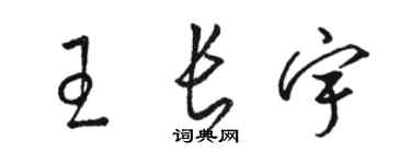 駱恆光王長宇草書個性簽名怎么寫