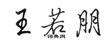 駱恆光王若朋行書個性簽名怎么寫