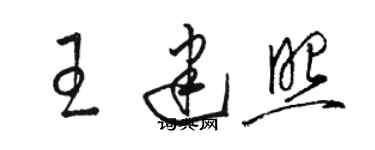 駱恆光王建照草書個性簽名怎么寫