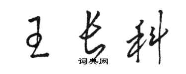 駱恆光王長科草書個性簽名怎么寫