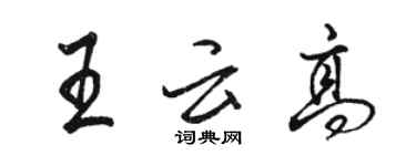 駱恆光王雲高行書個性簽名怎么寫