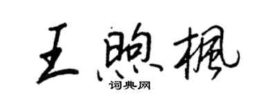 王正良王煦楓行書個性簽名怎么寫