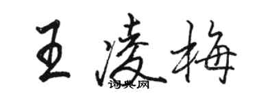 駱恆光王凌梅行書個性簽名怎么寫