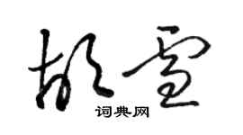 駱恆光胡雪草書個性簽名怎么寫