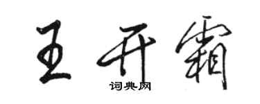 駱恆光王開霜行書個性簽名怎么寫