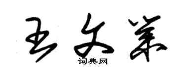 朱錫榮王文業草書個性簽名怎么寫