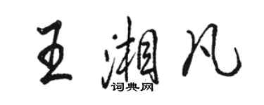 駱恆光王湘凡行書個性簽名怎么寫