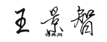 駱恆光王景智行書個性簽名怎么寫