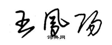 朱錫榮王鳳陽草書個性簽名怎么寫