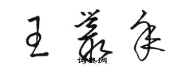 駱恆光王叢年草書個性簽名怎么寫