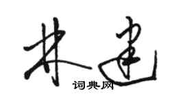 駱恆光林建草書個性簽名怎么寫