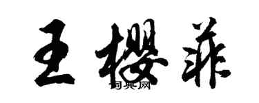 胡問遂王櫻菲行書個性簽名怎么寫