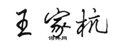 駱恆光王家杭行書個性簽名怎么寫